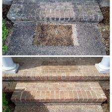 Mold and Algae Removal from Brick in Earlysville, VA 1